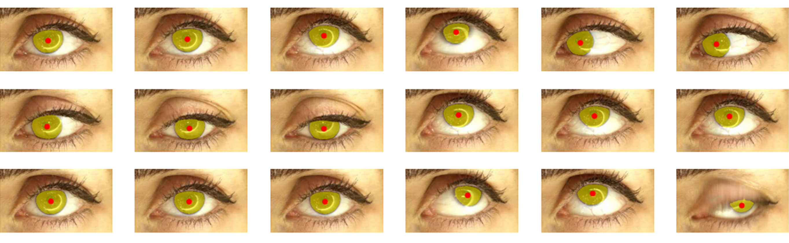 Eye tracking and iris segmentation across multiple frames